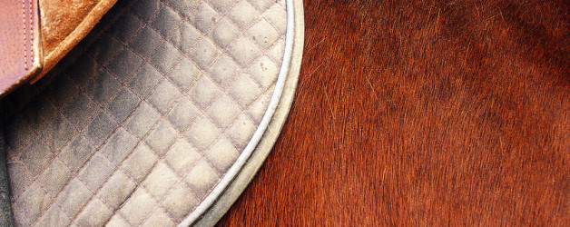 Accusantium doloremque